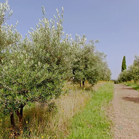 Antica Fattoria Borghesi Apartment